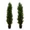 4ft. Potted UV Resistant Topiary Cedar Trees, 2ct.